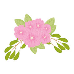 Naklejka premium pink flowers with leaves design, natural floral nature plant ornament garden decoration and botany theme Vector illustration