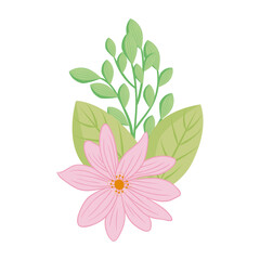 Obraz premium pink flower with leaves design, natural floral nature plant ornament garden decoration and botany theme Vector illustration