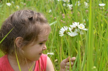 outdoor portrait Cute smiling baby girl in camomile field .Adorable girl with blue eyes and flowers daisies on meadow at summer day.Little child having fun and exploring nature. Copy space