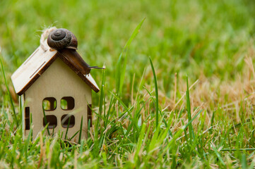 Snails on the roof of a toy house. Green grass. Real estate concept. Country lifestyle. Nature. Animals. New house concept. Home concept. Green grass in blur