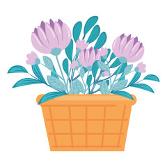purple flowers with leaves inside basket design, natural floral nature plant ornament garden decoration and botany theme Vector illustration
