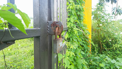 Closed Iron Gate with lock.  Padlock on Iron Gate. 