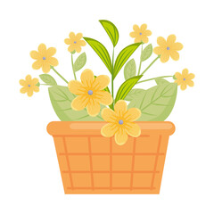 yellow flowers with leaves inside basket design, natural floral nature plant ornament garden decoration and botany theme Vector illustration