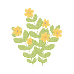 yellow flowers with leaves design, natural floral nature plant ornament garden decoration and botany theme Vector illustration