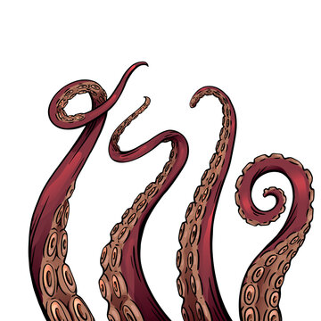 recommend clip art: Set of color cartoon sketches of octopus tentacles. Creepy limbs of marine inhabitants. Vector object for logos, tattoos, cards and your design.
