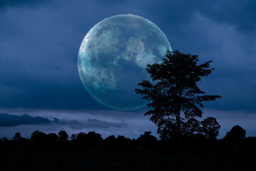 Fototapeta na wymiar Full Crust dark Moon and silhouette tree in the field and night sky