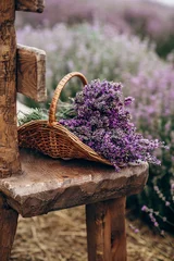 Keuken foto achterwand Bestsellers Bloemen en Planten Rieten mand met vers gesneden lavendelbloemen op een natuurlijke houten bank tussen een veld met lavendelstruiken. Het concept van spa, aromatherapie, cosmetologie. Zachte selectieve focus.