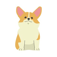 おすわりをしている１匹のコーギー