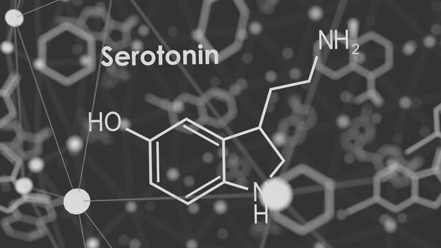 Chemical molecular formula hormone serotonin. Infographics animation.
