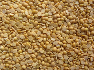 Yellow color split raw Pigeon pea (Arhar dal) lentils