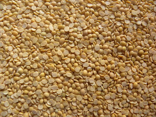 Yellow color split raw Pigeon pea (Arhar dal) lentils