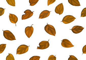 Seamless background with colorful realistic autumn leaves. Perfect for wallpaper, gift paper, pattern fills, web page background, autumn greeting cards.