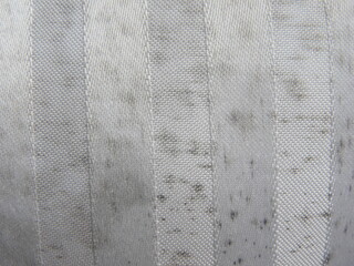Black color mold spots on white cloth