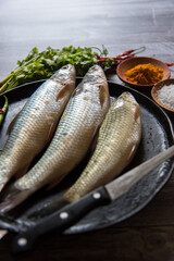 Uncooked raw fish on a pan with use of selective focus.