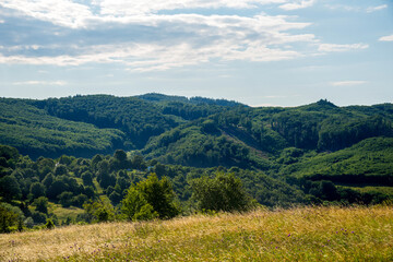 Naklejka na ściany i meble Countryside at high noon. Rural scenery with trees and fields on the rolling hills at the foot of the ridge.