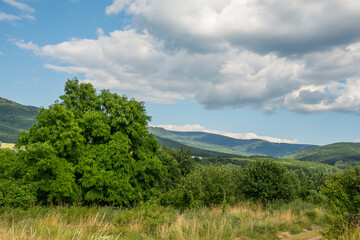 Countryside at high noon. Rural scenery with trees and fields on the rolling hills at the foot of the ridge.