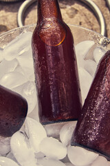 beer bottles with drops on ice cubes
