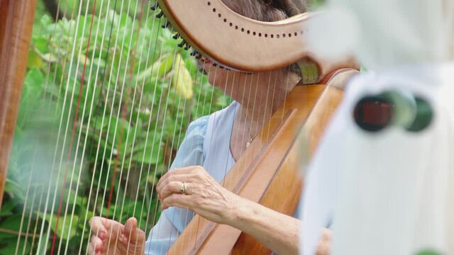 Middle aged woman plays harp during wedding ceremony. 