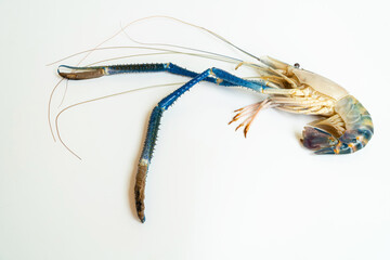 Top-down of a prawn or tiger shrimp isolated on white background, River shrimp or prawn raw on white background, The giant tiger prawns on the background.