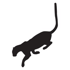 silhouette of tiger jumping