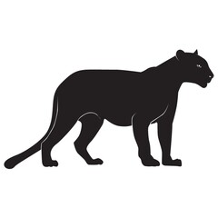 silhouette of cheetah
