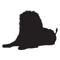 silhouette of sitting lion