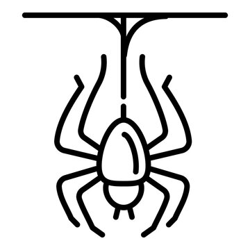 Spider icon. Outline spider vector icon for web design isolated on white background
