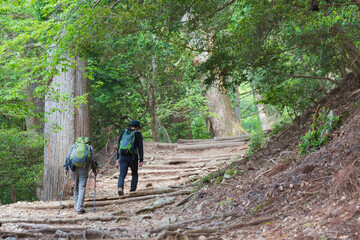 Approach to Atago Shrine on Mt. Atago in Kyoto, Japan. Atago Shrine is a Shinto shrine on Mount Atago, the northwest of Kyoto, Japan.