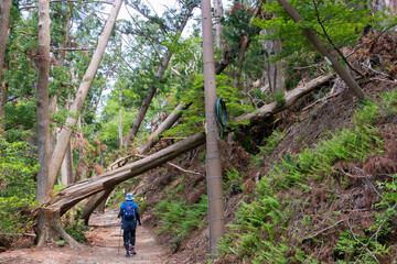 Approach to Atago Shrine on Mt. Atago in Kyoto, Japan. Atago Shrine is a Shinto shrine on Mount Atago, the northwest of Kyoto, Japan.