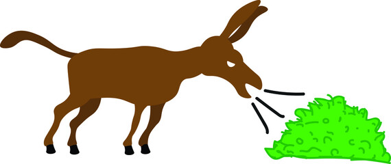 Donkey attempting to eat food grass grain