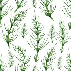 Horsetail seamless pattern. Herbal plant Equisetum arvense isolated on white background. Watercolor hand drawing illustration. Perfect for wallpaper, backdrop, wrapping, medical design.