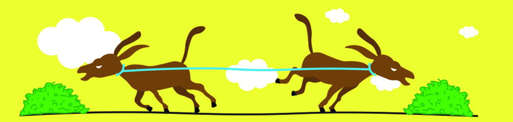 Donkeys trying hard to eat alone but they can not, team building concepts