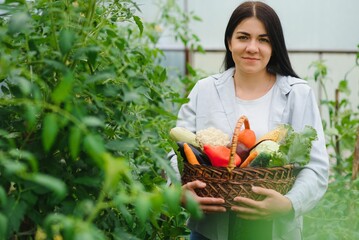 Young woman in takes care of Fresh vegetable Organic in wood style basket prepare serving harvest by a cute pretty girl in hydroponic farm, greenhouse