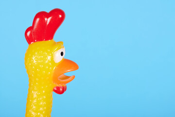 Funny rubber toy chicken with open mouth. Isolated on blue background.