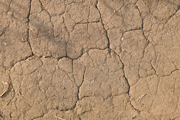 Cracked ground texture background, dry desert soil pattern.