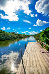 Obraz premium 西表島 仲間川