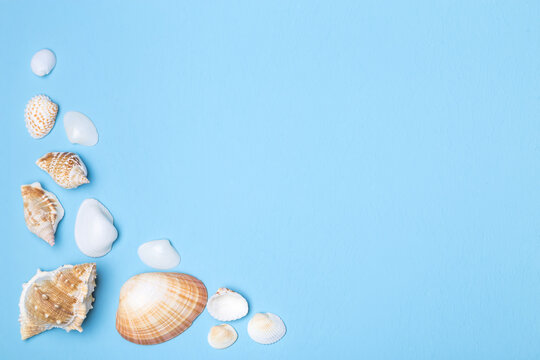 Image with shells.