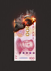 Yuan Note Burning