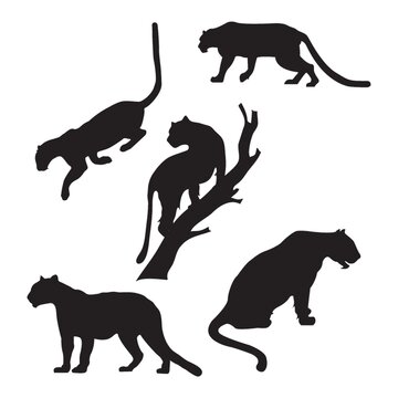 set of tiger silhouettes