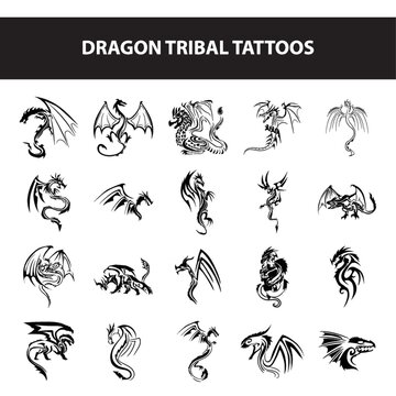dragon tribal tattoos