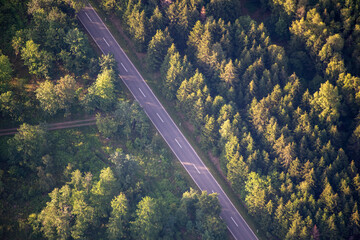 Straße im Wald