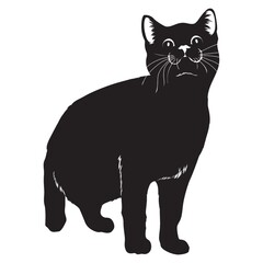 silhouette of cat