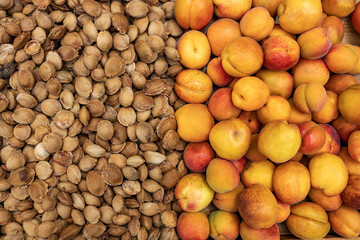 Naklejka na ściany i meble Background of many ripe apricots and seeds