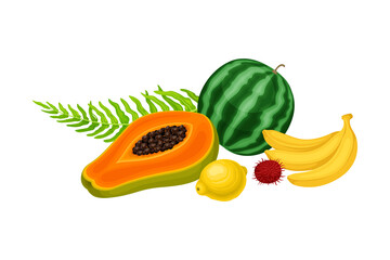 Juicy Fruits with Watermelon and Banana with Palm Leaves Hawaiian Vector Composition