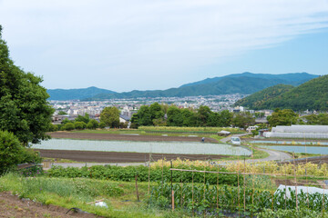 Fototapeta na wymiar Landscape view from Shugakuin Imperial Villa (Shugakuin Rikyu) in Kyoto, Japan.
