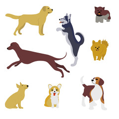 Set of coue dogs different breeds. Animal run, stay, jump, sit. Dogs walking sticker. Vector illustration in flat style. 