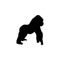 silhouette of gorilla