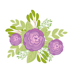 purple flowers with leaves design, natural floral nature plant ornament garden decoration and botany theme Vector illustration