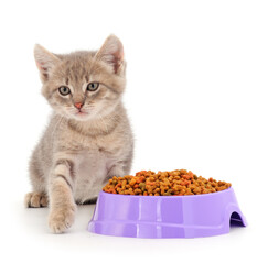 Little kitten eat from a bowl.