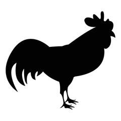 silhouette of cock